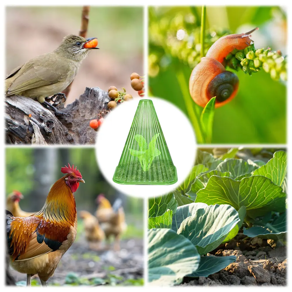 Square Garden Cloches for Plants Plant Bell Cover Bell Jar Cloches Plant Protection Snail Collar Vegetables Save Water