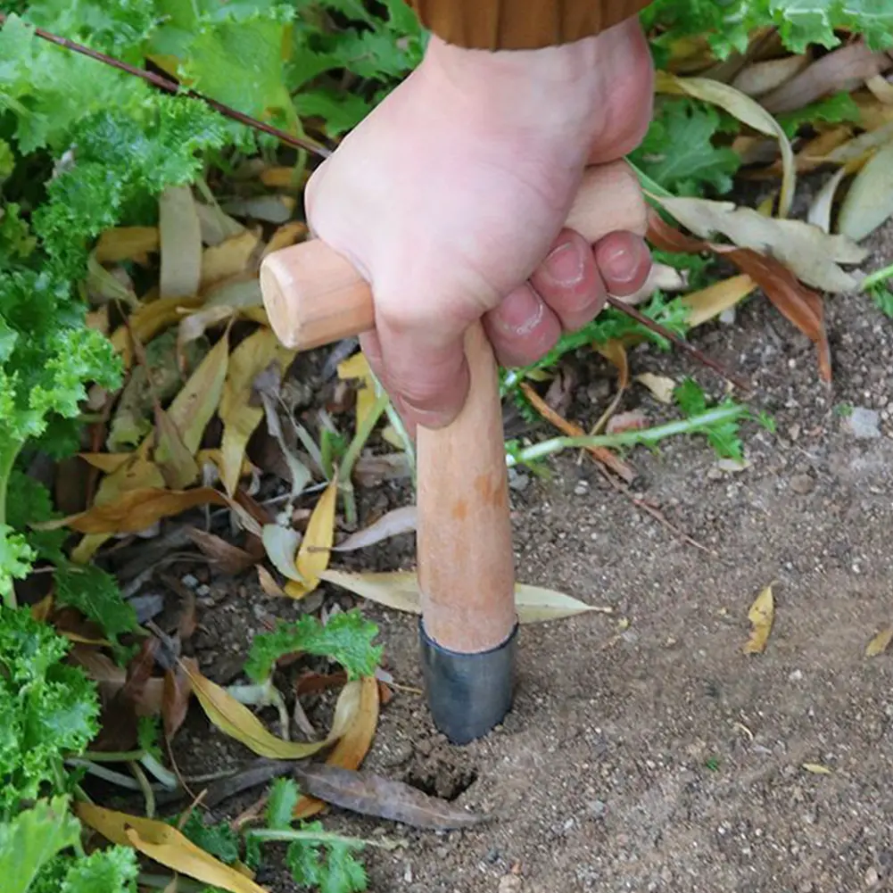 APWIKOGER 3-1pcs Hand Dibber Seed Planter Garden Tool Stainless Steel Sow Seed Dibbler With Wood Handle for Plant Bulb Digging