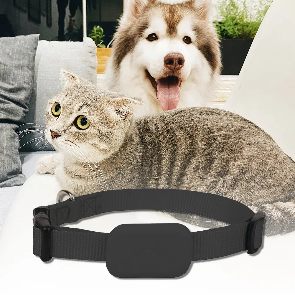 For iOS Puppy Collar Battery Operated Animal Tracking Movement Alert Collar Adjustable Pet Anti Lost Tracker Pet Supplies