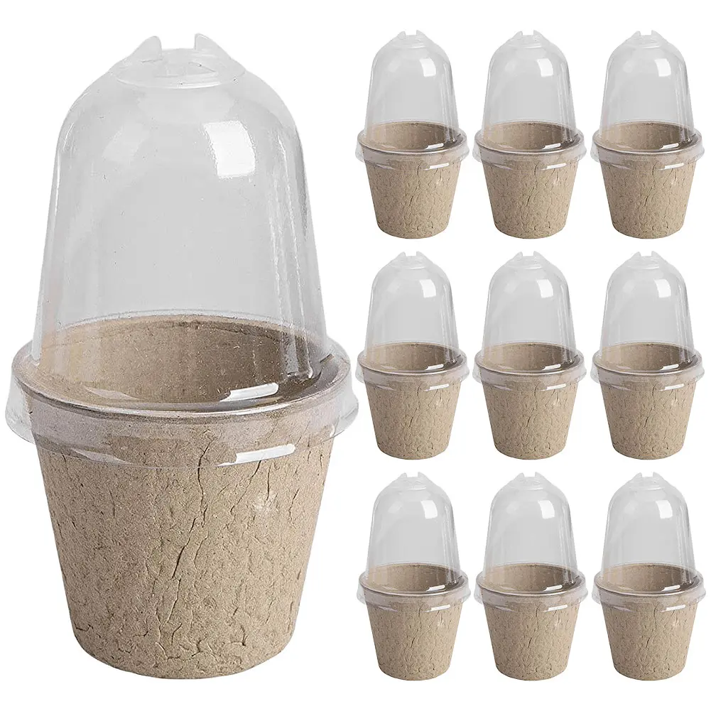 10Pcs Seedling Cup Seed Starter Transparent Lid Cultivation Pot Biodegradable Plant Growing Cup Versatile Gardening Supplies