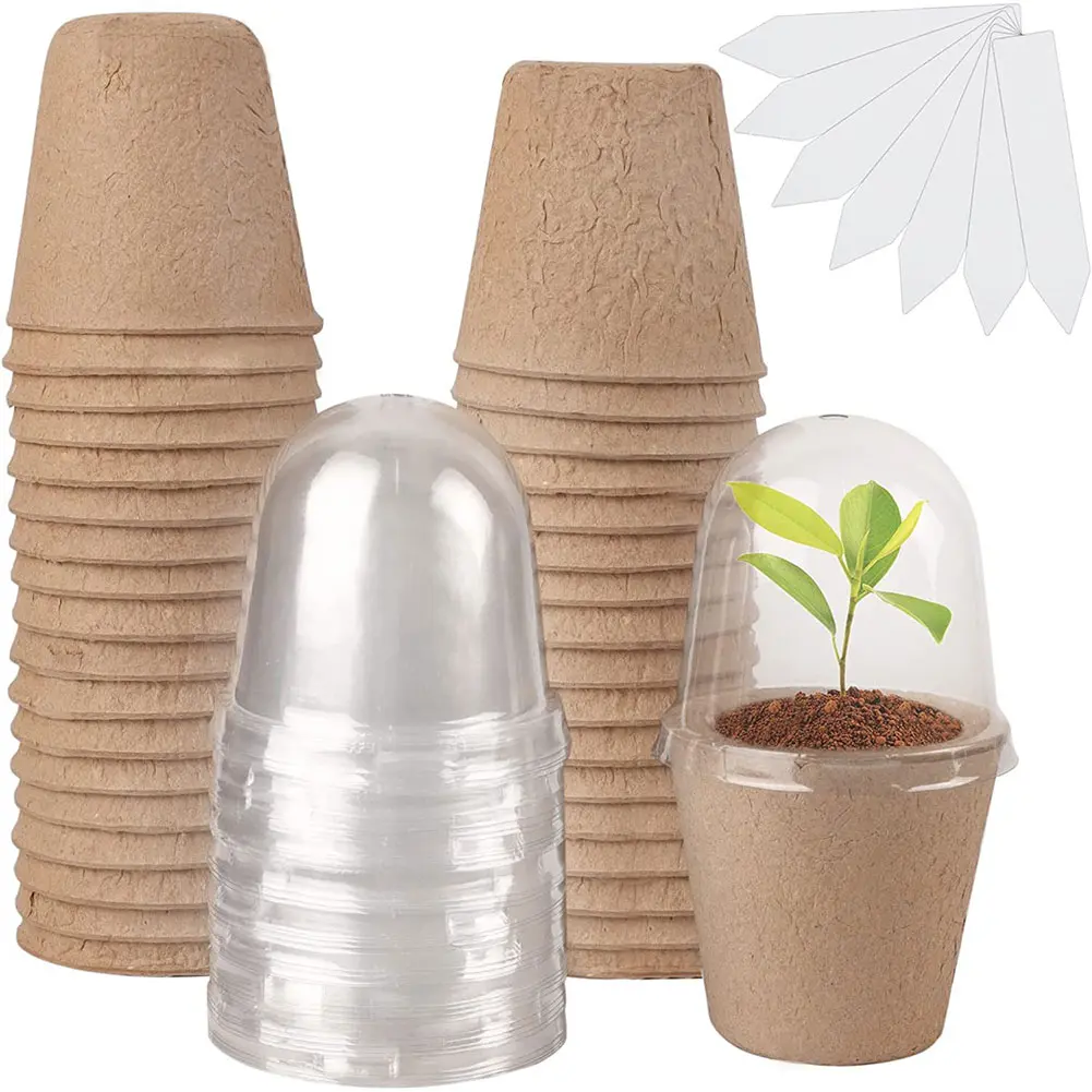 10Pcs Seedling Cup Seed Starter Transparent Lid Cultivation Pot Biodegradable Plant Growing Cup Versatile Gardening Supplies