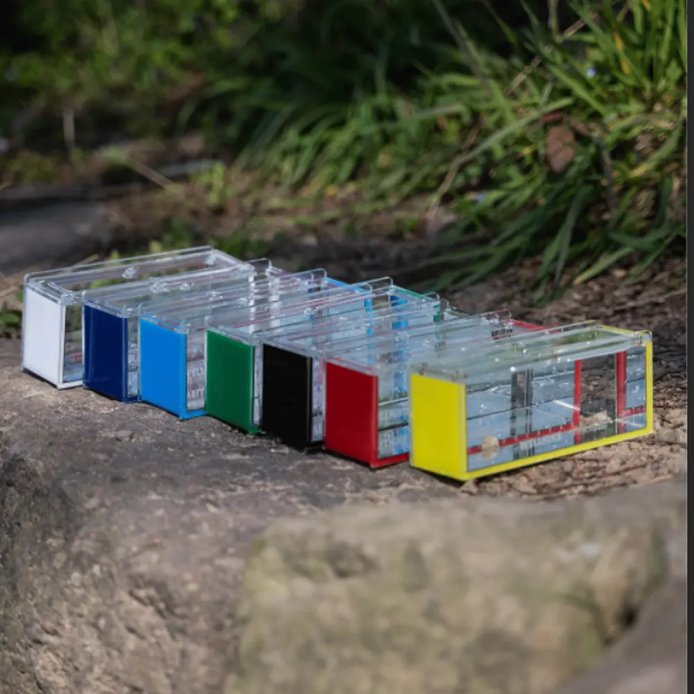 Fish Observation Device with Lid Scale Mini Fish Viewing Container Anti-Scratch Acrylic Stream Observation Box for Children Gift