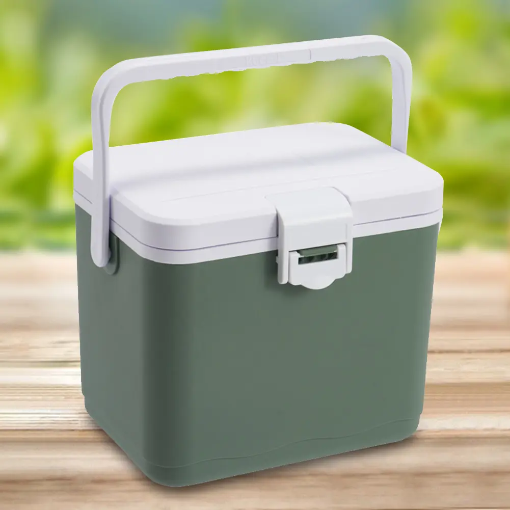 4.5L Insulated Portable Cooler with Handle Mini Freezer Fridge Heat Preservation Food Storage Cooler Box for Beach Picnic