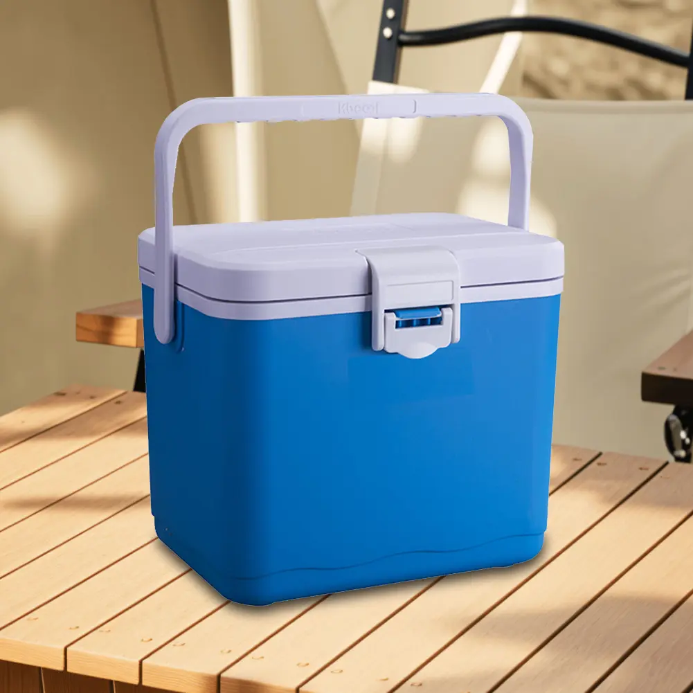 4.5L Insulated Portable Cooler with Handle Mini Freezer Fridge Heat Preservation Food Storage Cooler Box for Beach Picnic