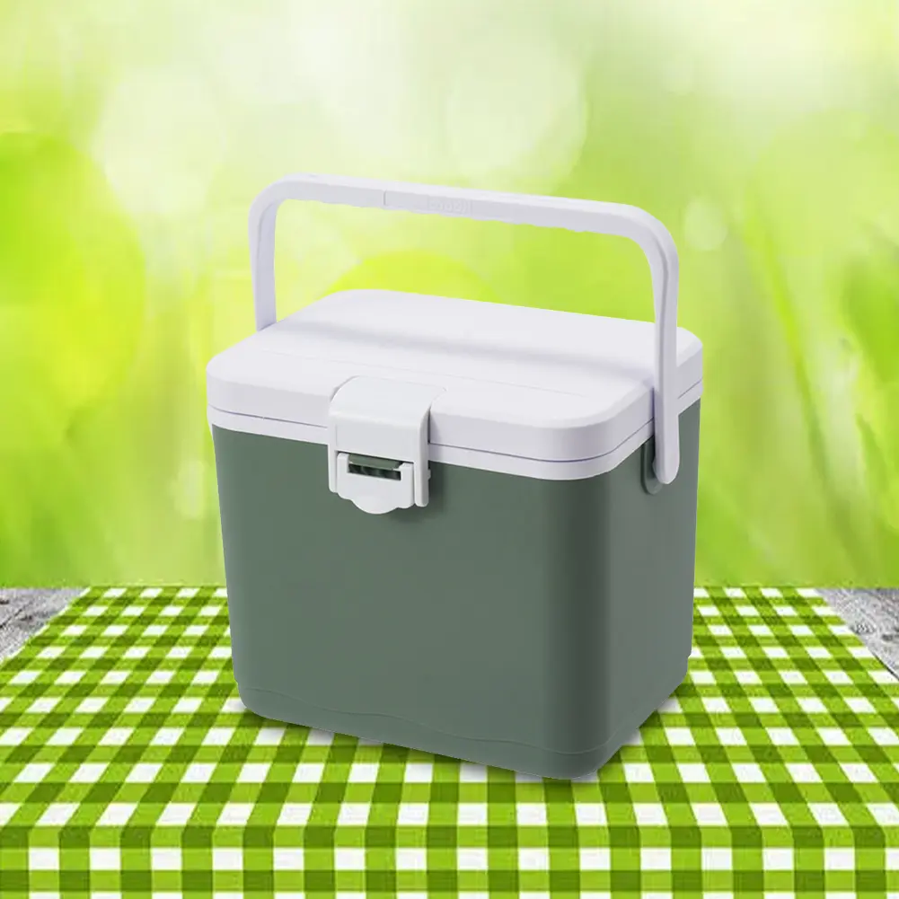 4.5L Insulated Portable Cooler with Handle Mini Freezer Fridge Heat Preservation Food Storage Cooler Box for Beach Picnic