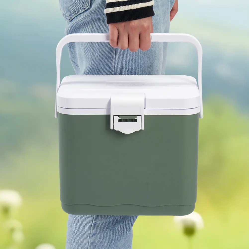 4.5L Insulated Portable Cooler with Handle Mini Freezer Fridge Heat Preservation Food Storage Cooler Box for Beach Picnic