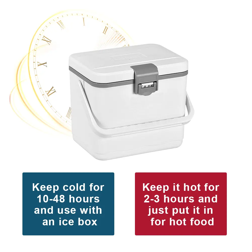 4.5L Insulated Portable Cooler with Handle Mini Freezer Fridge Heat Preservation Food Storage Cooler Box for Beach Picnic