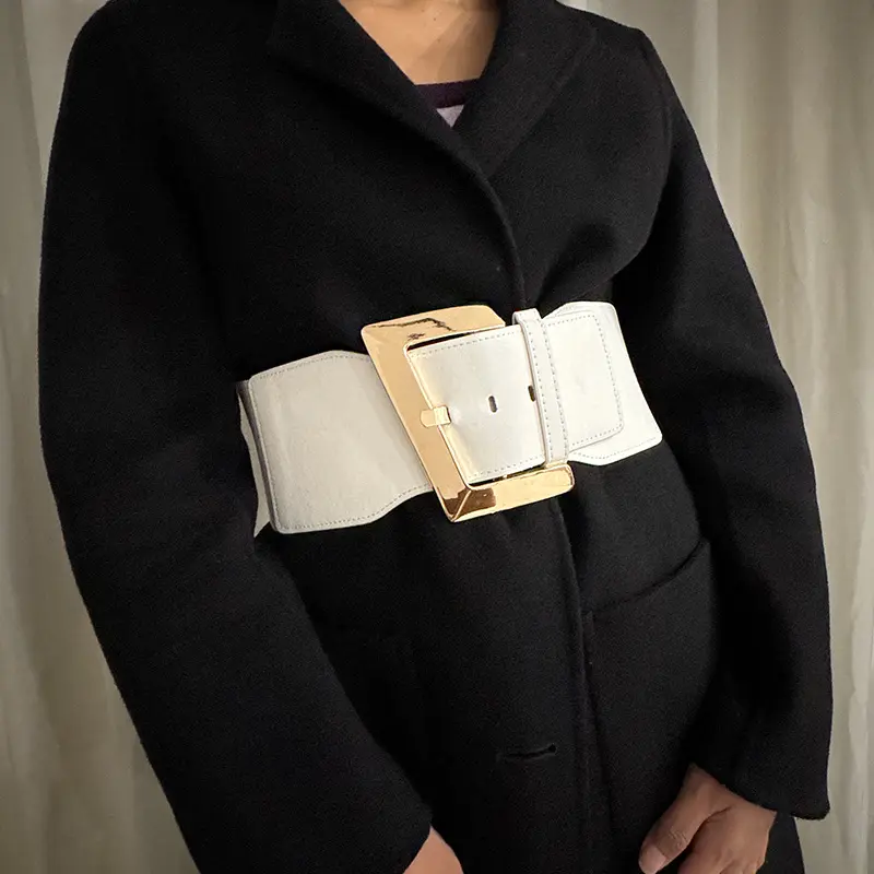 Plus Size Wide belt for women Girdles Elastic Cummerbunds Luxury Brands Designer Decorative Corset Belt Female Punk Gothic Belt