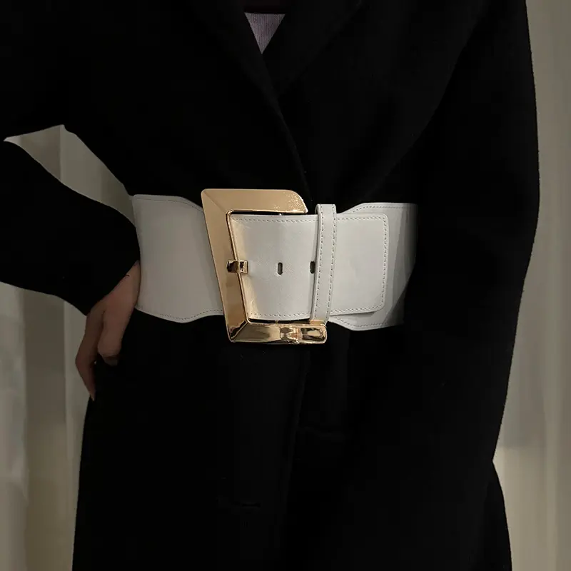 Plus Size Wide belt for women Girdles Elastic Cummerbunds Luxury Brands Designer Decorative Corset Belt Female Punk Gothic Belt