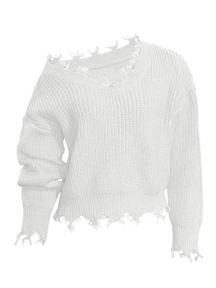 Plus Size Women's Solid Colour V Neck Loose Sweater Long Sleeve Sweater Pullover Knitted Best Choice for Autumn and Winter