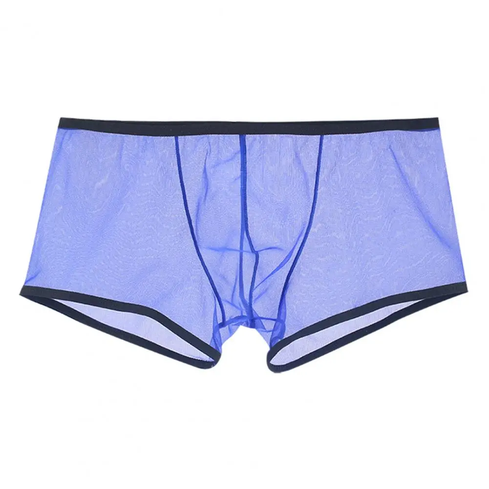 Transparent Boxers for Men See Through Male Underpants Sexy Low Waist Panties Lingerie Intimates