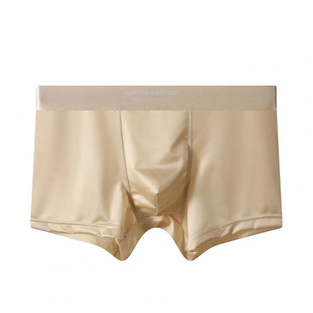 Luxury Ice Silk Satin-like Boxers Summer Smooth Cool Solid Men's Underpants Breathable Mesh Crotch Panties Underwear