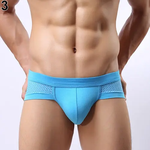 Men's Sexy Mesh Modal Triangle Underwear Breathable Briefs Bulge Pouch Underpants Men's Briefs Bikini Gay Panties calzoncillo