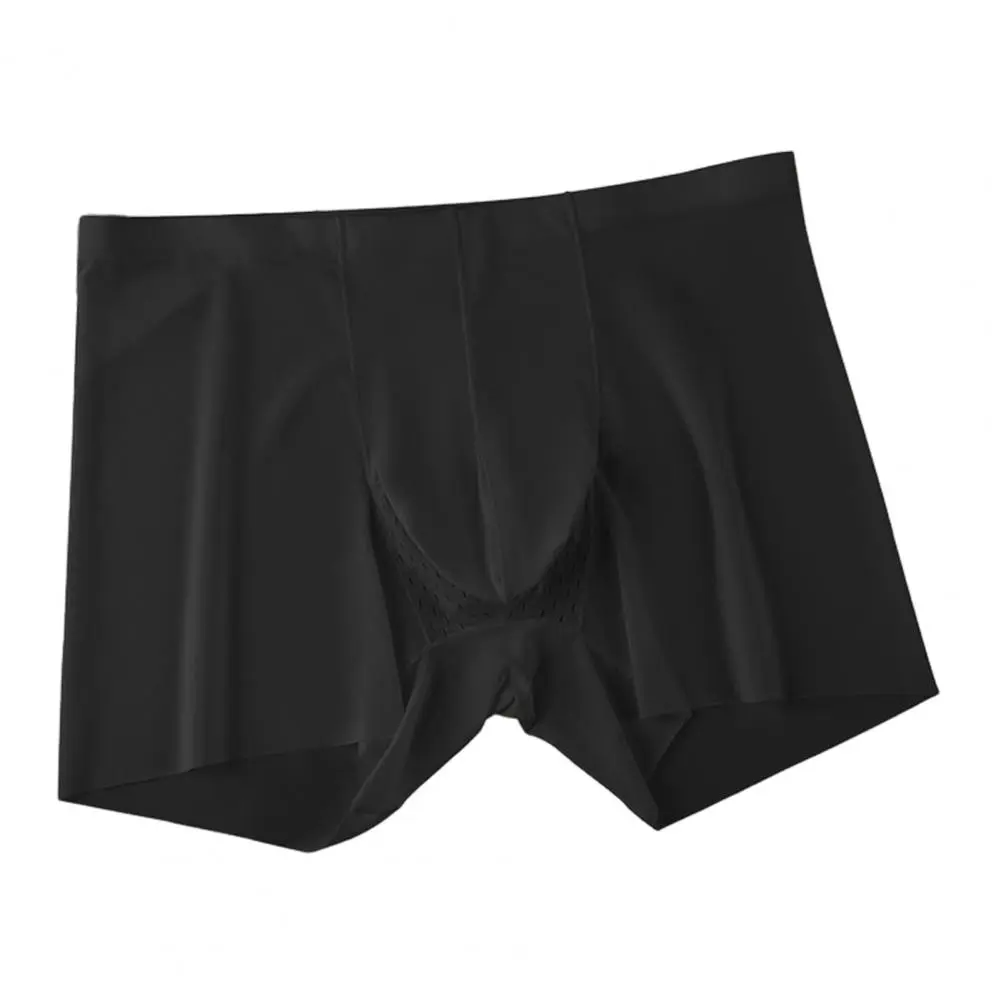 2025 S-XL Men Summer Shorts Briefs Mid-rise Elastic Waist Thin Underwear Transparent Seamless Quick Drying Shorts Panties