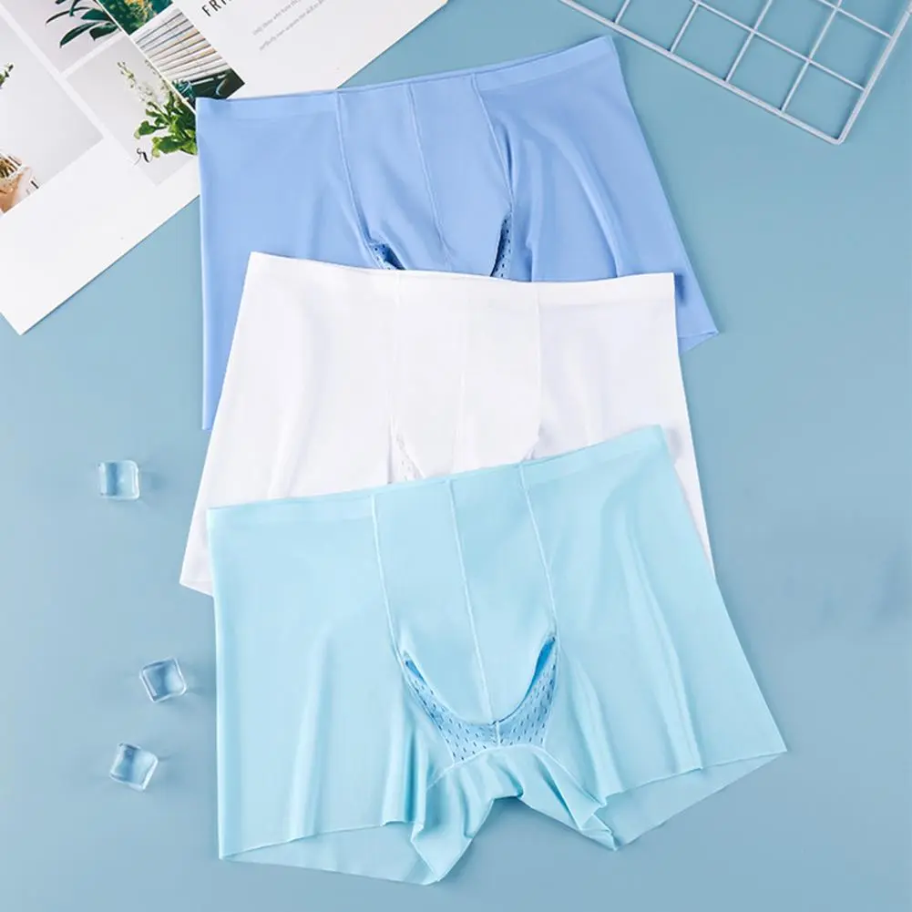 2025 S-XL Men Summer Shorts Briefs Mid-rise Elastic Waist Thin Underwear Transparent Seamless Quick Drying Shorts Panties
