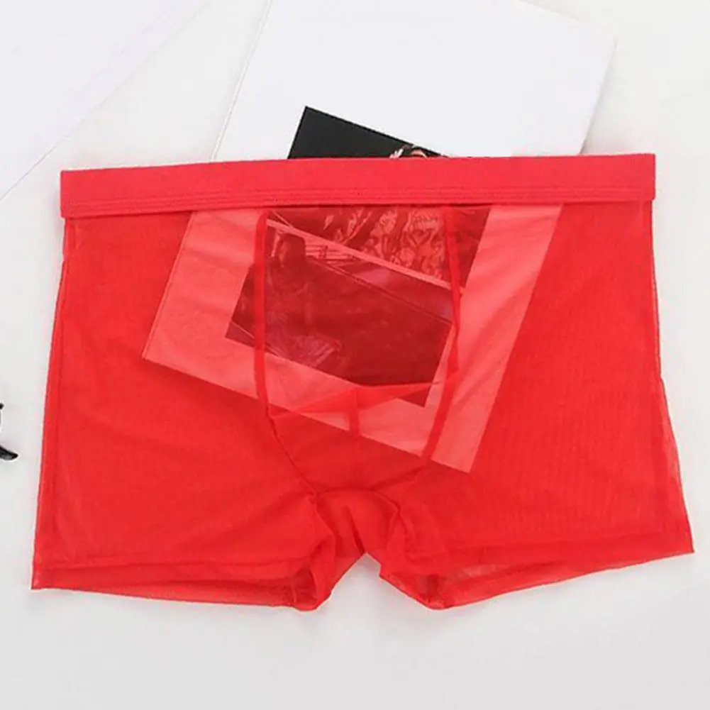 2025 Boxer Shorts Ultra-comfortable Men Boxers Breathable Mesh Boxer for Men Sexy Low Rise Underwear with 3d Film Comfort Underw