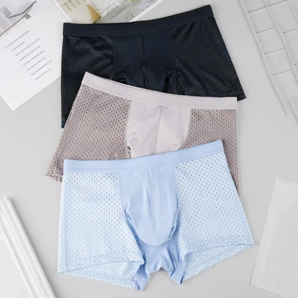 2025 M-3XL Men Boxers Elephant Nose Thin Seamless Ice Silk Hollow Mesh High Moisture-wicking Men Underpants Sport Underwear