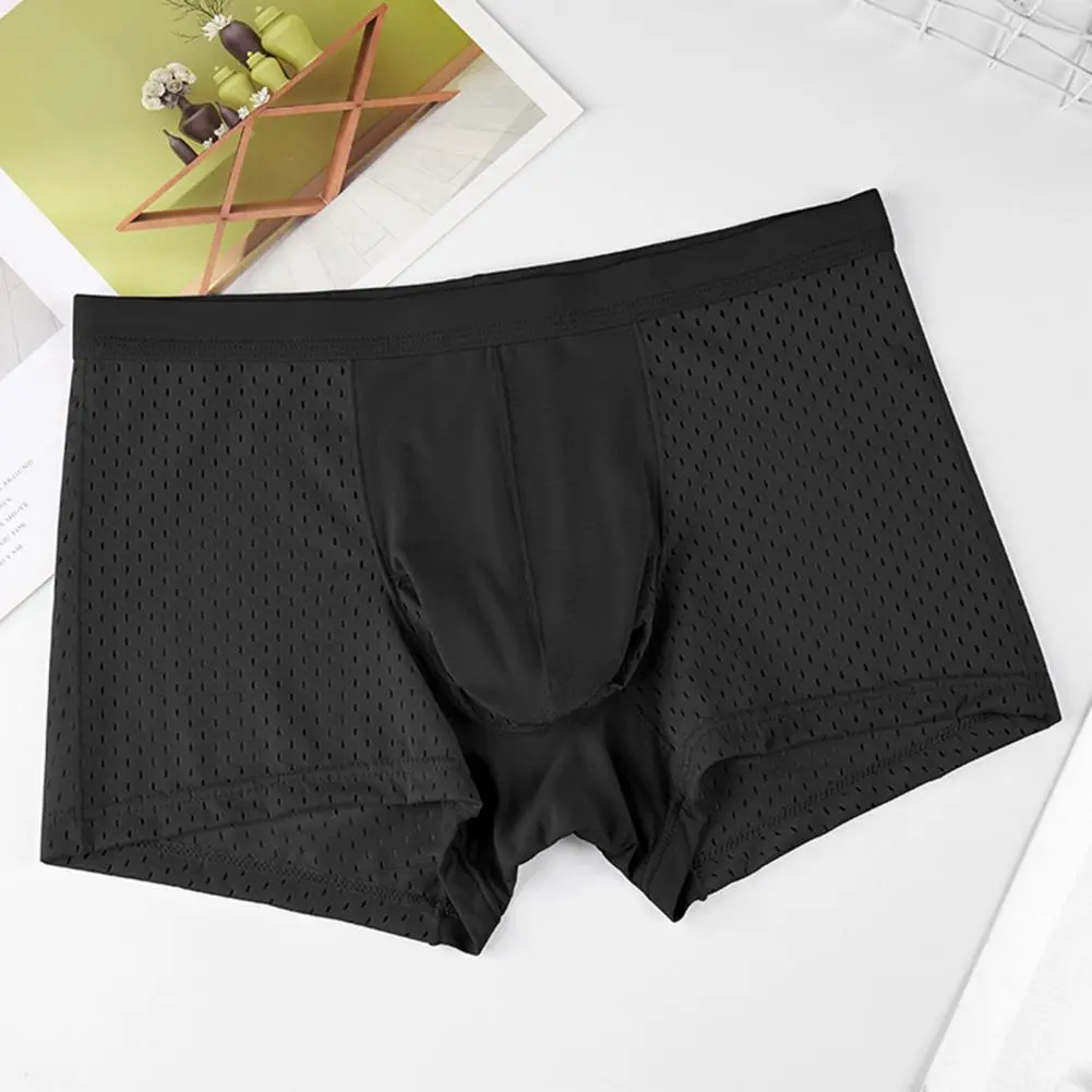 2025 M-3XL Men Boxers Elephant Nose Thin Seamless Ice Silk Hollow Mesh High Moisture-wicking Men Underpants Sport Underwear