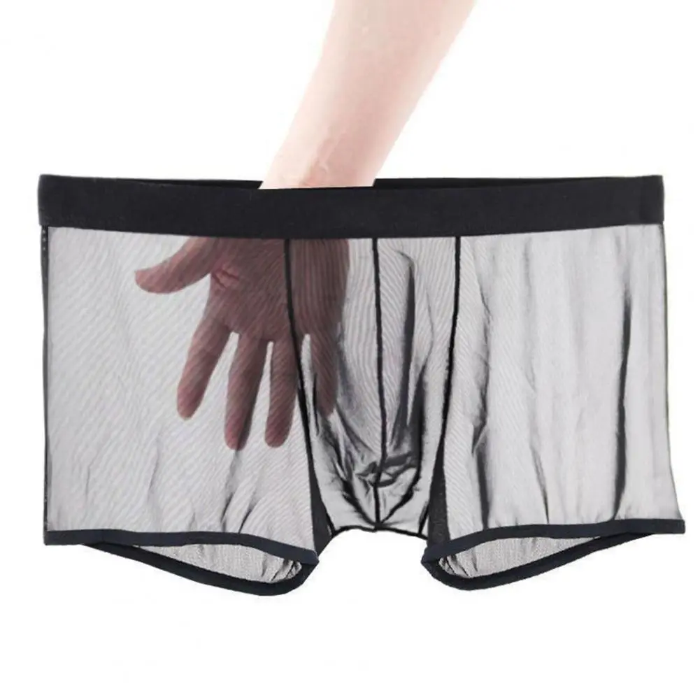 2025 M-3XL Men Sexy Transparent See-Through Mesh Shorts Panties Ultra-Thin Seamless Shorts Briefs Breathable Mid-rise Underpants