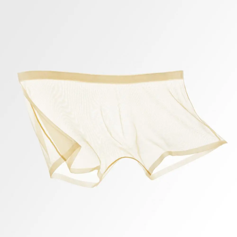 2025 M-3XL Men Sexy Transparent See-Through Mesh Shorts Panties Ultra-Thin Seamless Shorts Briefs Breathable Mid-rise Underpants