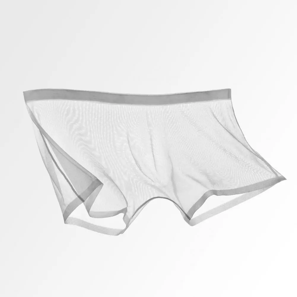 2025 M-3XL Men Sexy Transparent See-Through Mesh Shorts Panties Ultra-Thin Seamless Shorts Briefs Breathable Mid-rise Underpants