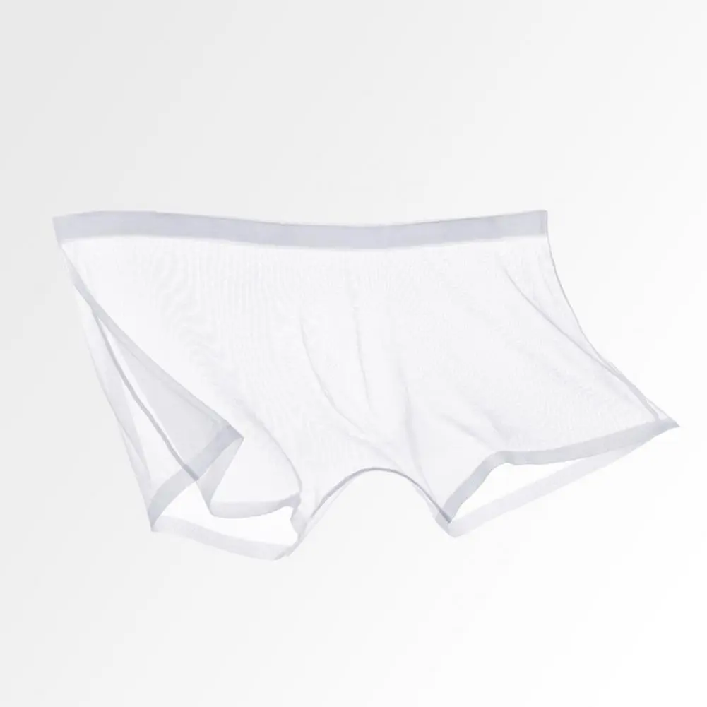 2025 M-3XL Men Sexy Transparent See-Through Mesh Shorts Panties Ultra-Thin Seamless Shorts Briefs Breathable Mid-rise Underpants