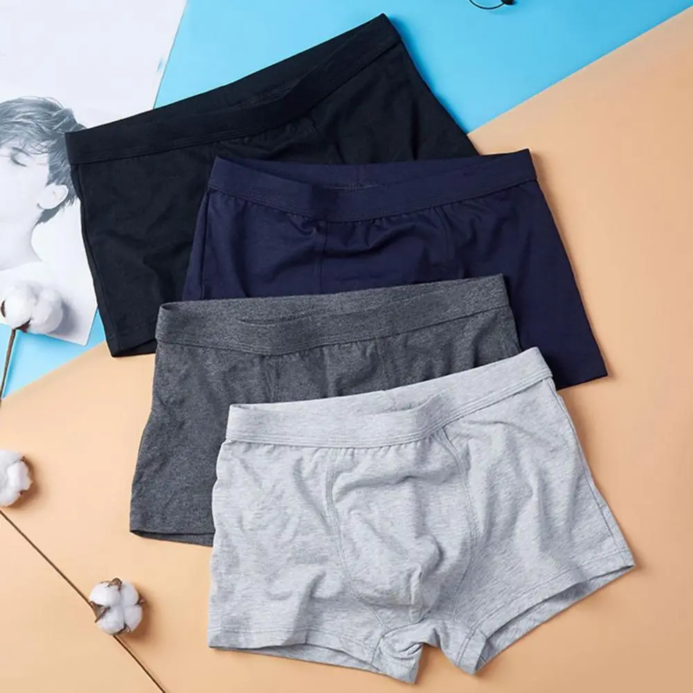 2025 L-4XL Handsome Men Boxers Mid Waist Anti-septic Breathable U Convex Seamless Plus Size Boxers Male Underpants Underwear