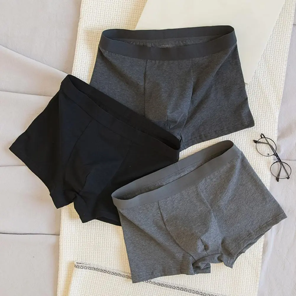 2025 L-4XL Handsome Men Boxers Mid Waist Anti-septic Breathable U Convex Seamless Plus Size Boxers Male Underpants Underwear