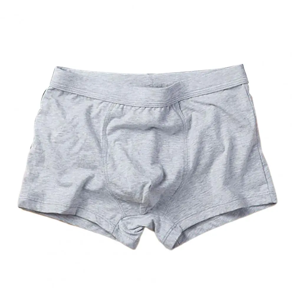 2025 L-4XL Handsome Men Boxers Mid Waist Anti-septic Breathable U Convex Seamless Plus Size Boxers Male Underpants Underwear