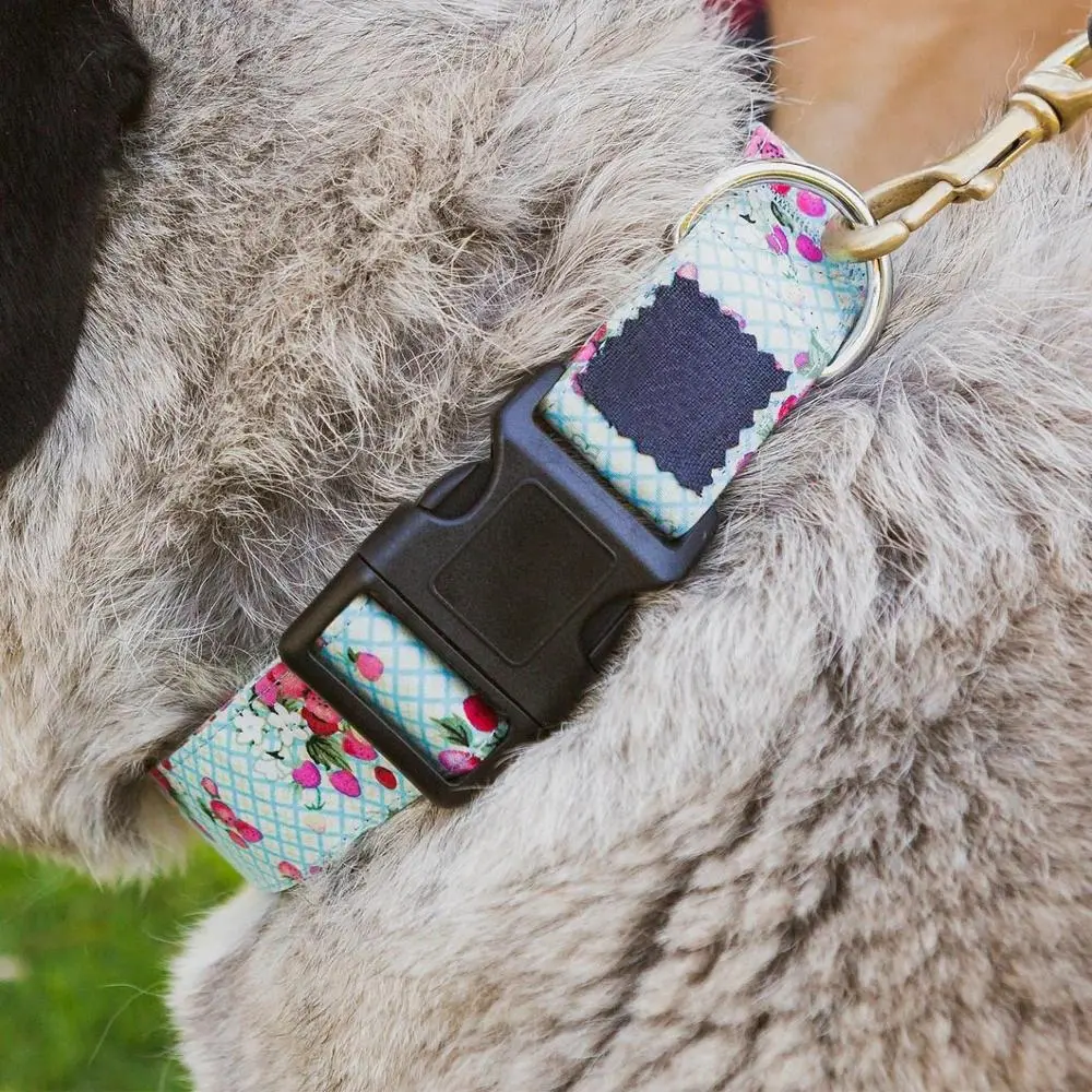 5pcs Curved Side Release Buckle Paracord Bracelet Clasp Outdoor Camping Backpack Dog Collar Strap DIY Accessories 15mm 20mm 25mm