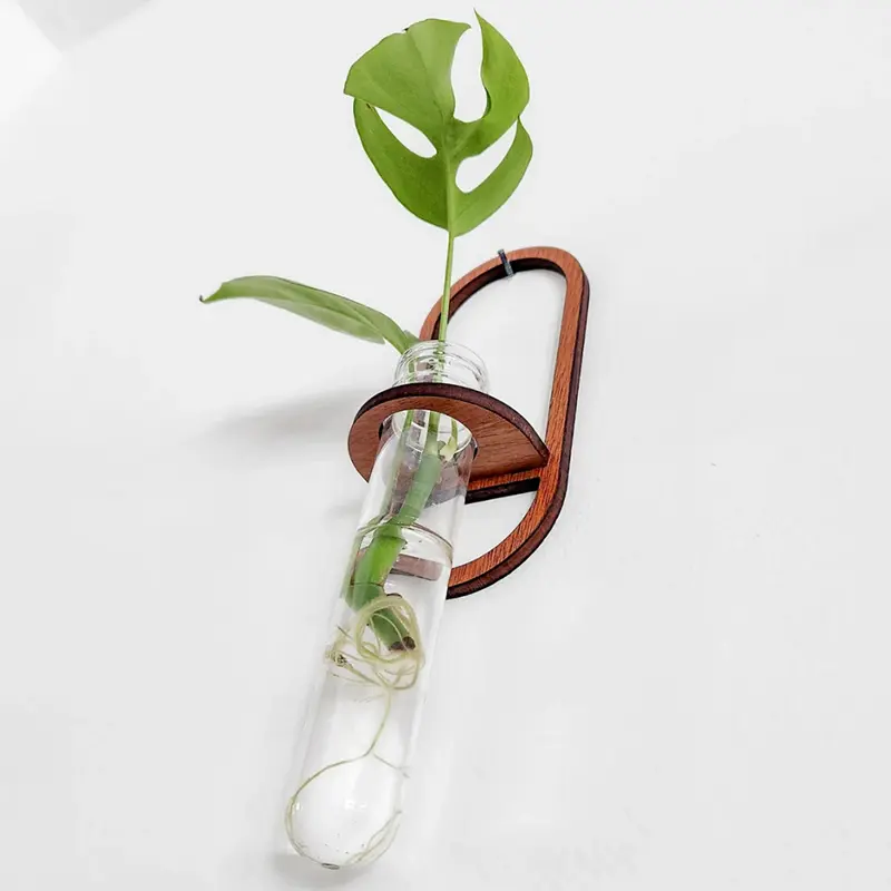Plant Wall Vase Wooden Stand Hydroponic Plant Container Display Shelf Transparent Plant Hedge Garden Bedroom Home Decoration