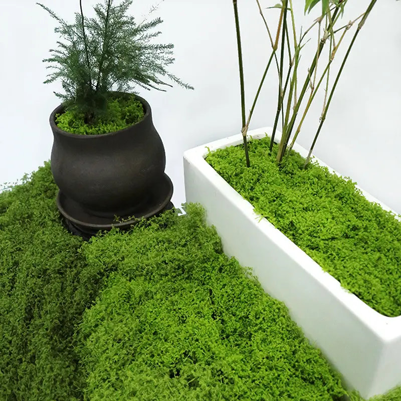 1PC DIY Artificial Fresh Green Moss Lawn Micro Landscape Silk Moss Wedding Centerpieces Garden Terrariums Decoration Fake Moss