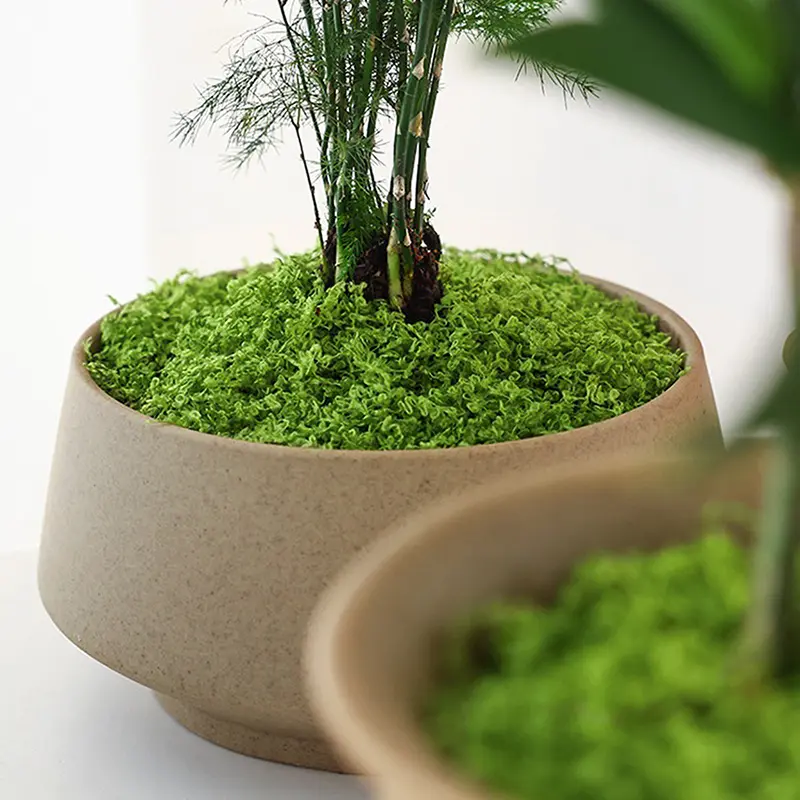 1PC DIY Artificial Fresh Green Moss Lawn Micro Landscape Silk Moss Wedding Centerpieces Garden Terrariums Decoration Fake Moss