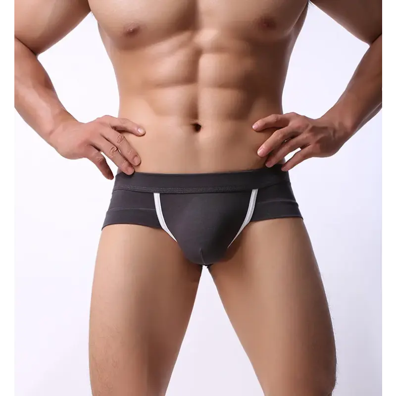 New Men's Panties Comfortable Low Rise Lifting Boxer Shorts and Underpants Bulge Pouch Briefs Underwear Pump Man Boxers Man Pack