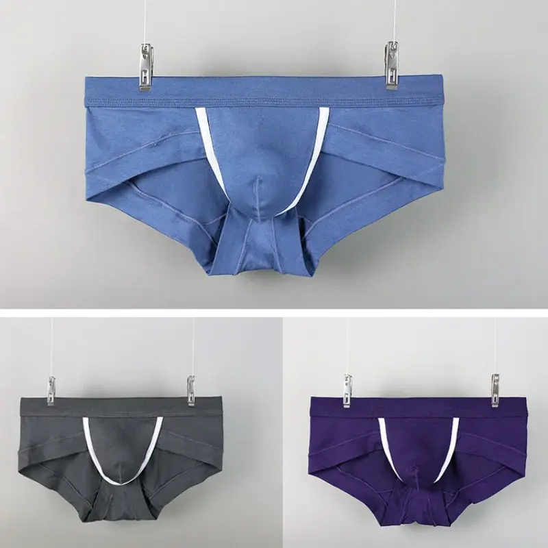 New Men's Panties Comfortable Low Rise Lifting Boxer Shorts and Underpants Bulge Pouch Briefs Underwear Pump Man Boxers Man Pack
