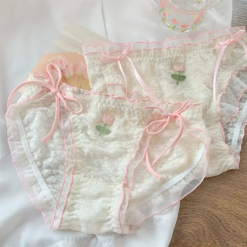 Japanese-style Women Mesh Transparent Lacing Embroidery Fashion Sexy Underwear Cute Sweety Princess Low Waist Breathable Panties