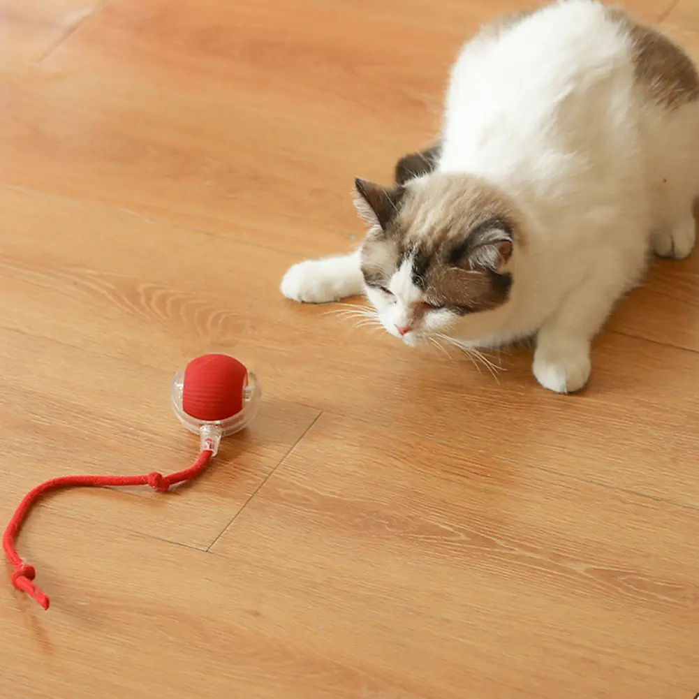 Cat Toy Interactive Rolling Ball Rechargeable Electric Pet Toys Training Imitate Mouse Tail Rotating Ball for Indoor Cat Dog