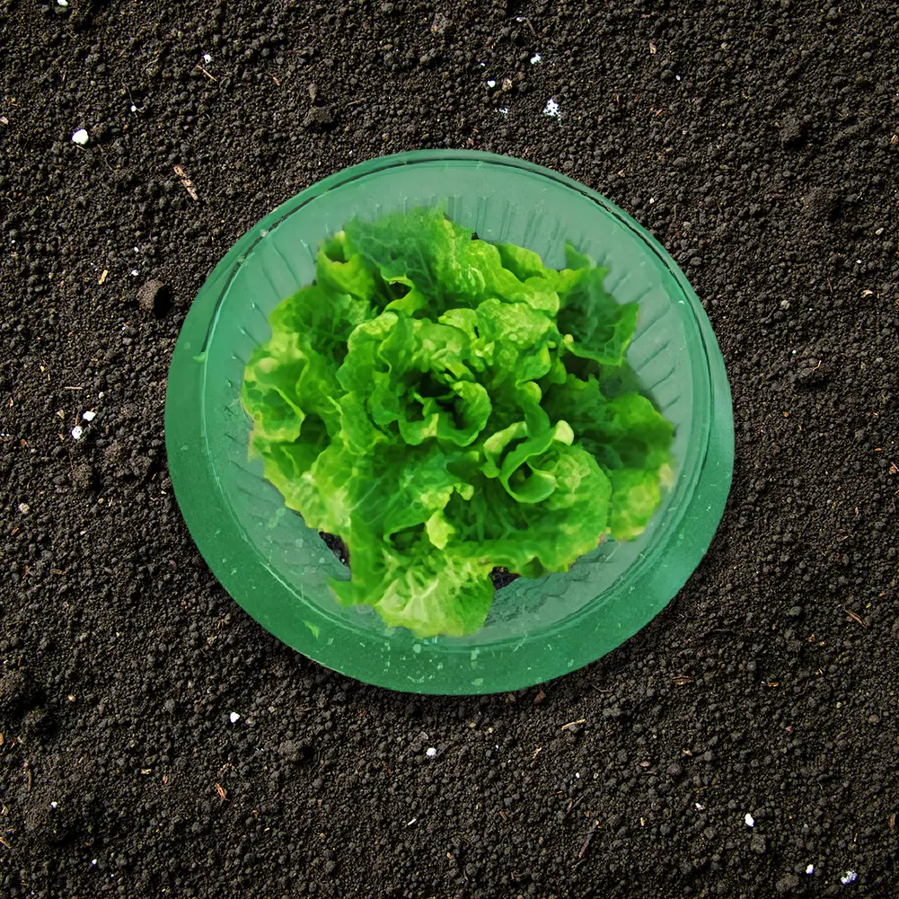 Snail Collars Slug Plant Protection Collars Reusable Garden Cloches Save Water for Protects Plants To Get Better