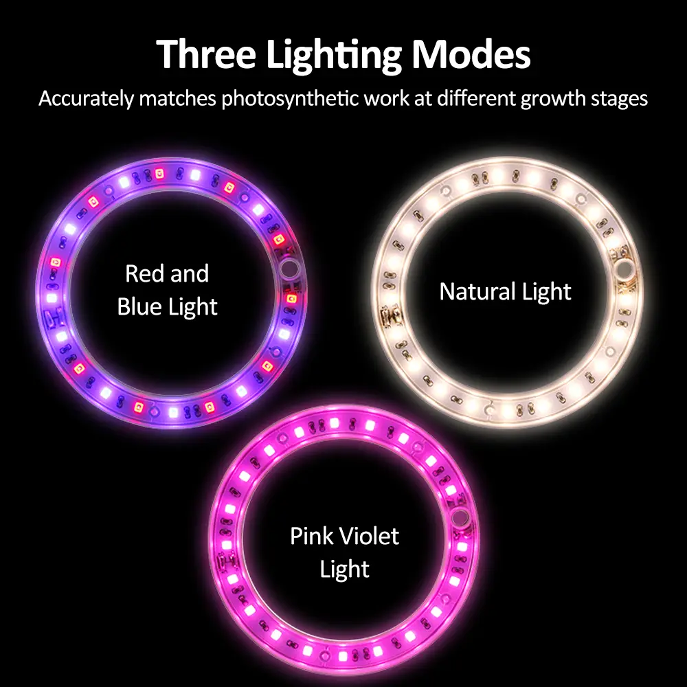 LED Grow Lights Full Spectrum Plant Lamp with 20 LEDs 8H/12H/16H Timer 5 Dimmable Levels Height Adjustable USB Angel Ring Lamp