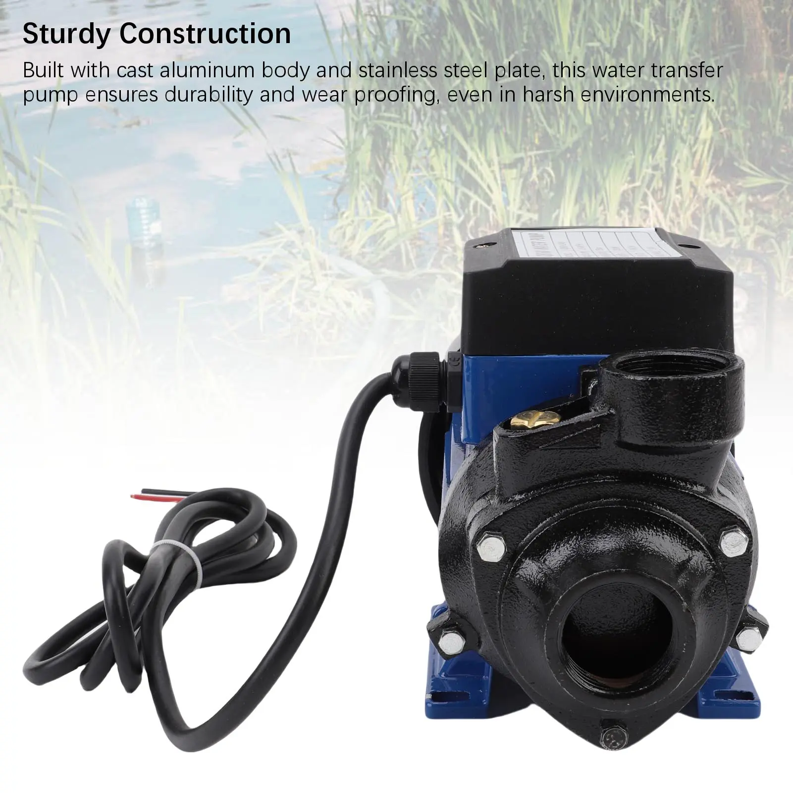 24V  230W 25m High Lift 1.5m³/H Flowrate 3200RPM 1 Inch Outlet Irrigation Pump for Home Agricultural Boiler Well Pump
