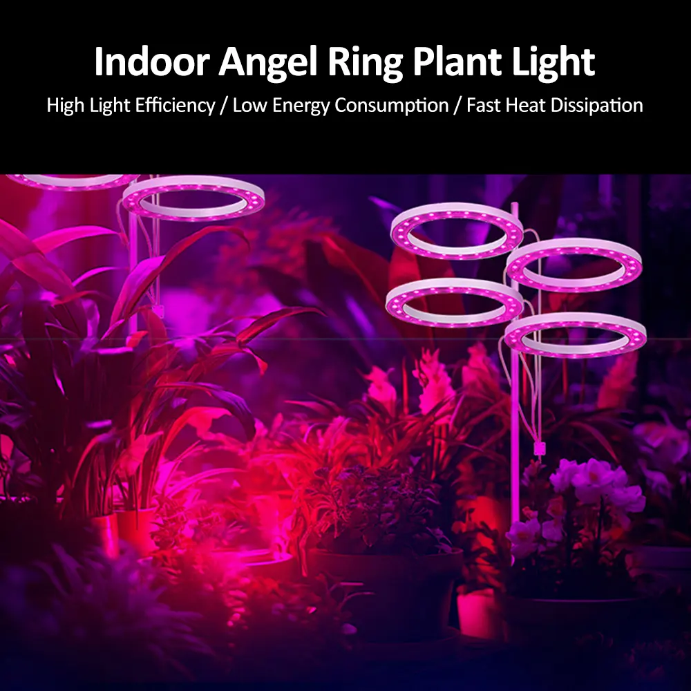 LED USB Grow Light Phytolamp for Plants 16H Timer Control Full Spectrum Lights Home Flower Seedling Clip Phyto Lamp