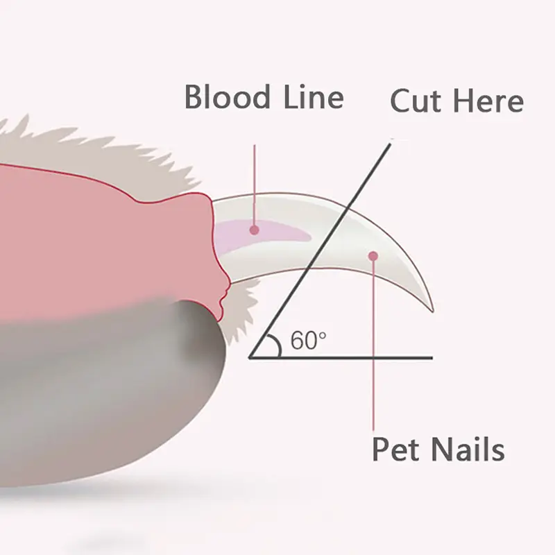Cat Nail Clipper Professional Pet Nail Trimmer Dog Toe Claw Trimmer with LED Light Pet Claw Shape Trimming Pet Nail Clipper