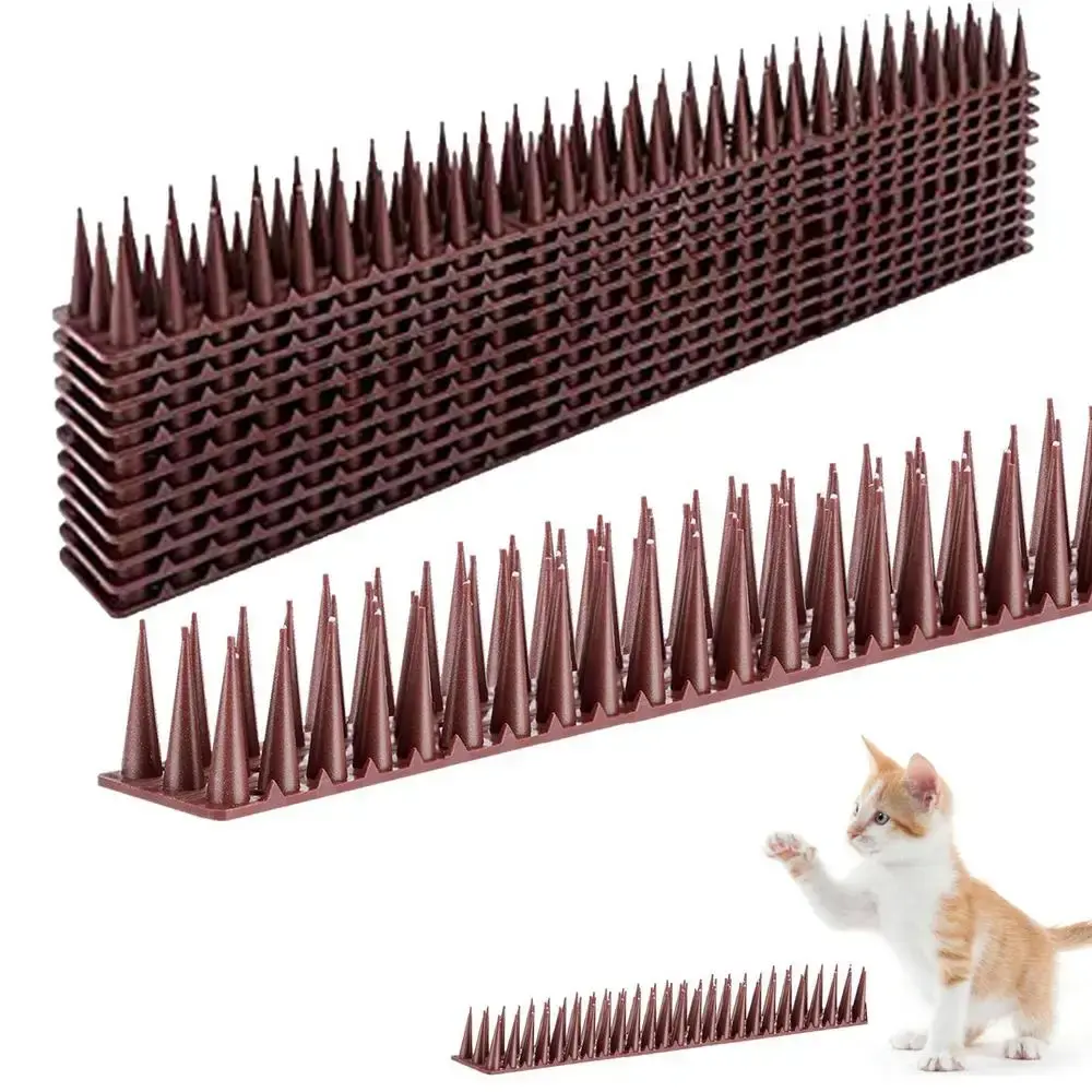 324