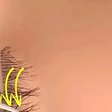 1pc Anti-Static Stainless Steel Tweezers High Precision Gold Curved Straight Lashes Fan Eyebrow Tweezers Nail Art Makeup Tools