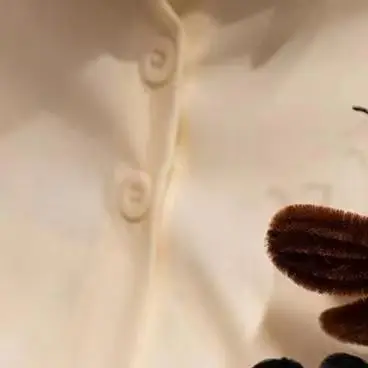 324
