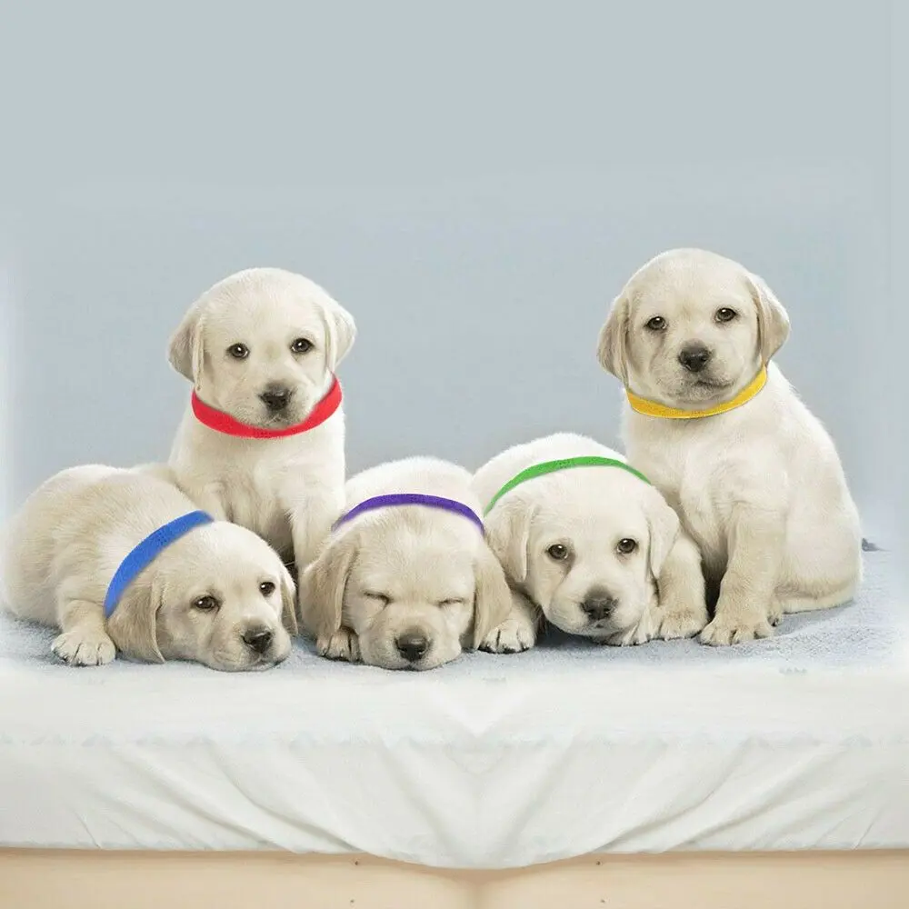 15PCS Identification ID Collars Whelp Kitten Dog Cat Velvet Practical Nylon Reusable Puppy ID Collar Pet Supplies