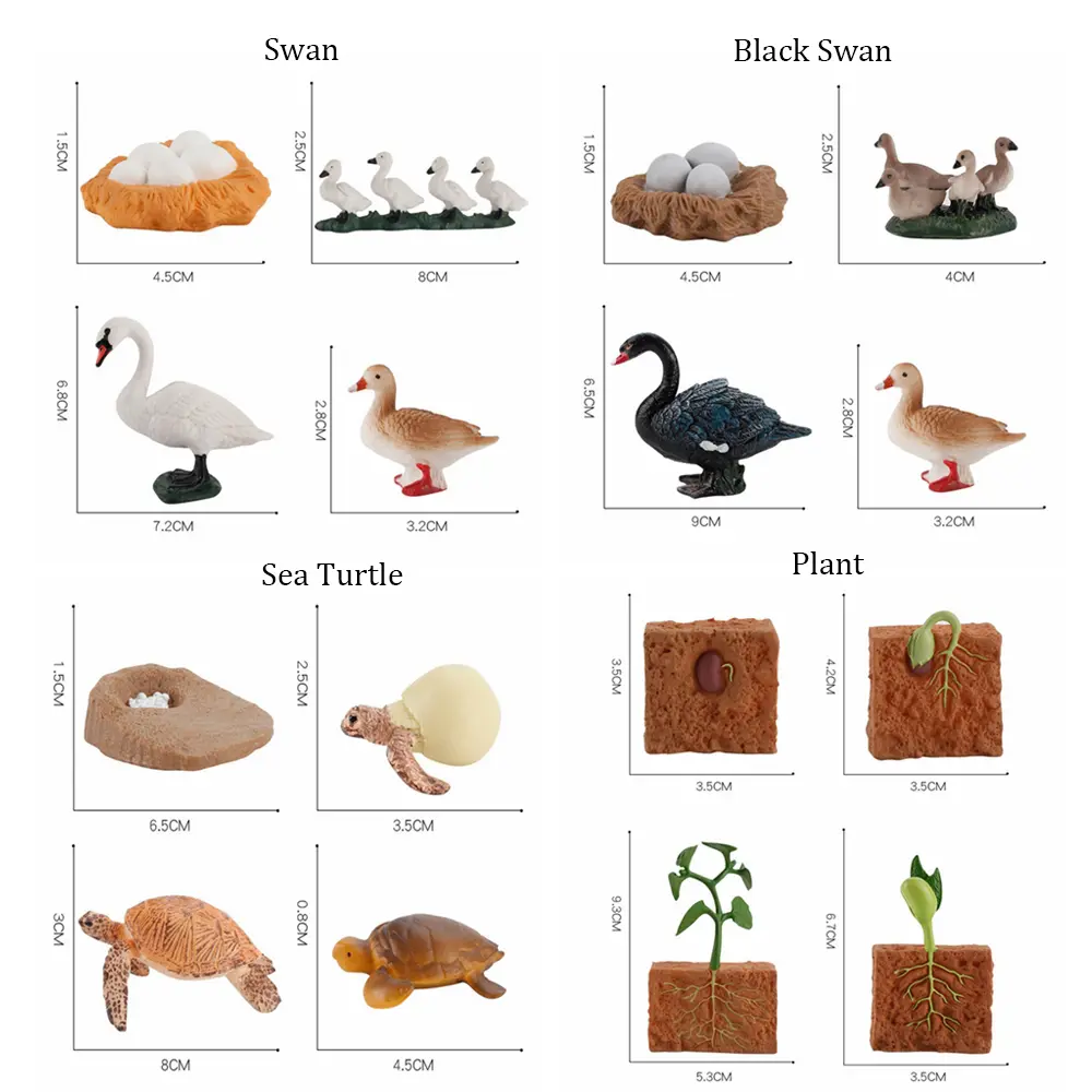 Simulation Animals Growth Cycle Butterfly Ladybug Chicken Dragonfly Frog Life Cycle Figurine Model Early Education Kids Toy