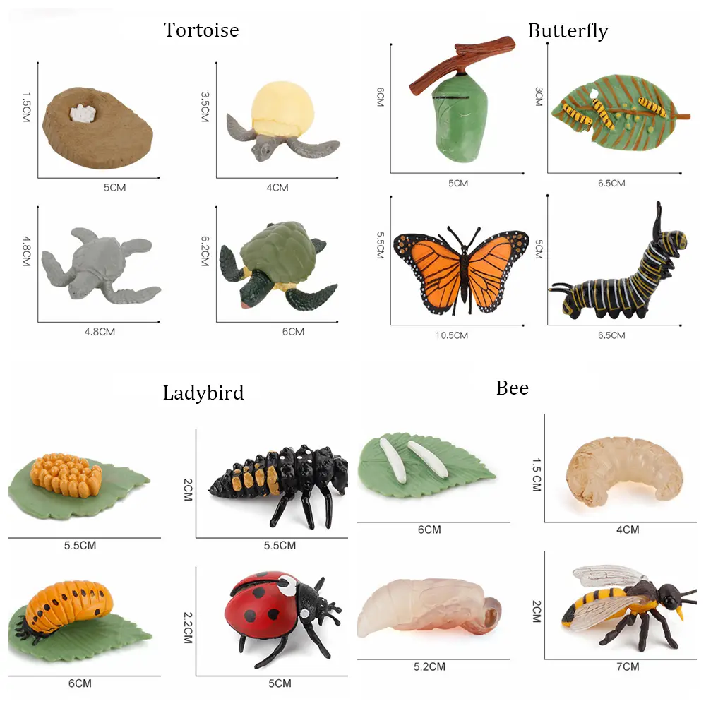 Simulation Animals Growth Cycle Butterfly Ladybug Chicken Dragonfly Frog Life Cycle Figurine Model Early Education Kids Toy