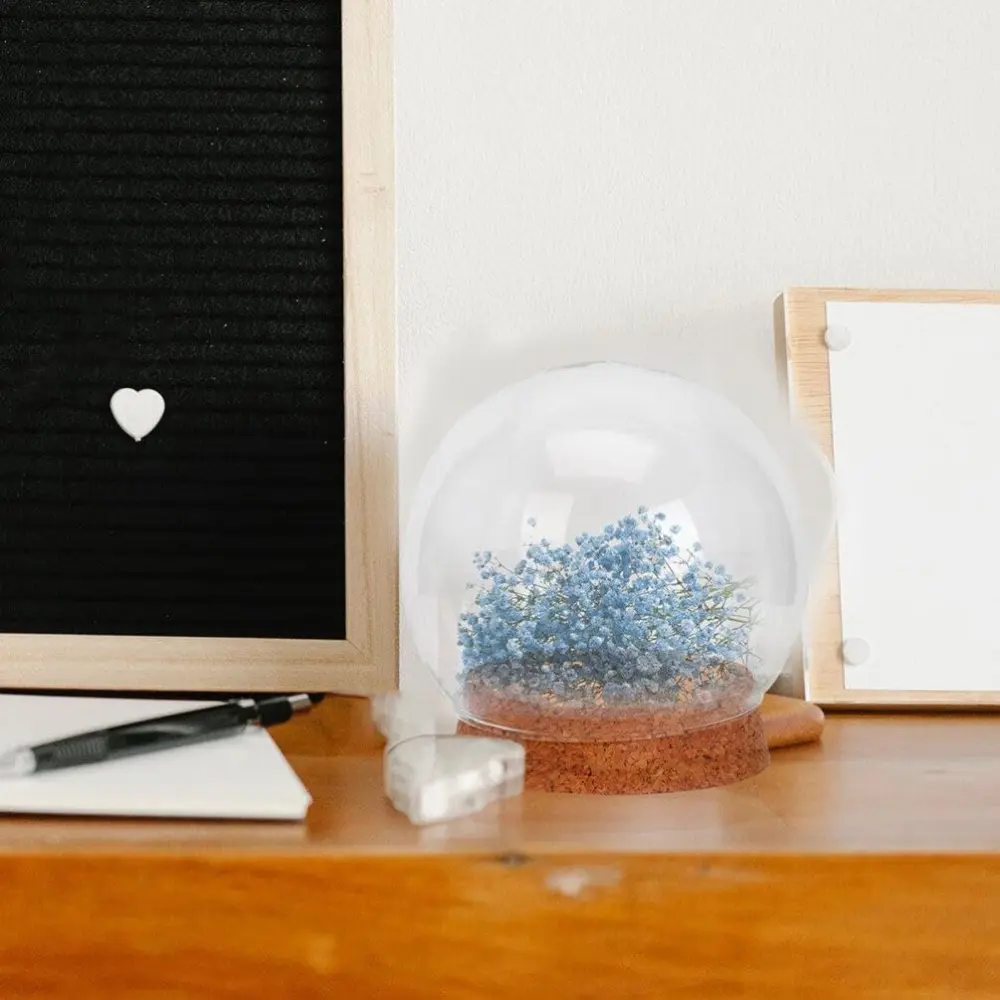 Preserved Fresh Flowers Glass Cover Flower Dustproof Cover Transparent Glass Dome Protector Clear Flower Domes