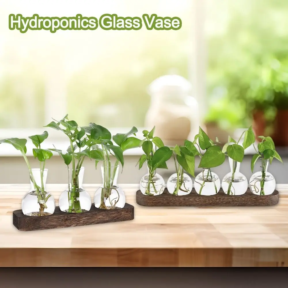 Plant Terrarium Propagation Station, Glass Planter Bulb Vase With Wooden Tray, Modern Bud Vases for Living Room Office Decor